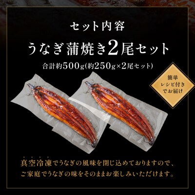 うなぎ蒲焼き2尾セット(約250g×2尾).AC357