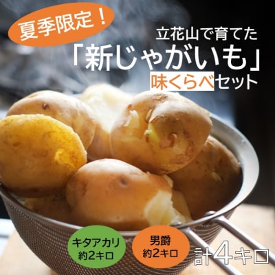 【夏季限定】立花山で育てた「新じゃがいも」2種味くらべセット(約4kg).AA435