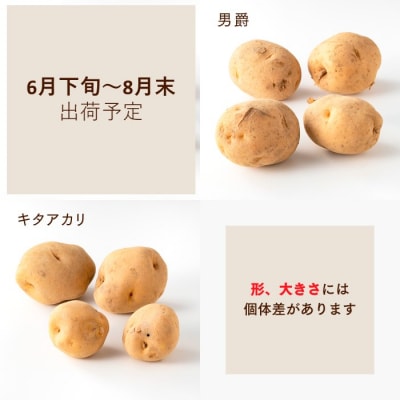 【夏季限定】立花山で育てた「新じゃがいも」2種味くらべセット(約4kg).AA435
