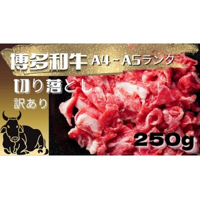 訳あり!博多和牛A4～A5ランク切り落とし250g【博多和牛】.ZH261