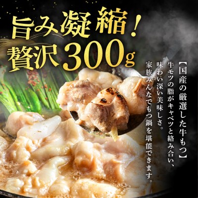 魚住商店【国産牛もつ使用】特製塩もつ鍋セット2～3人前・〆のチャンポン麺付き.AB588