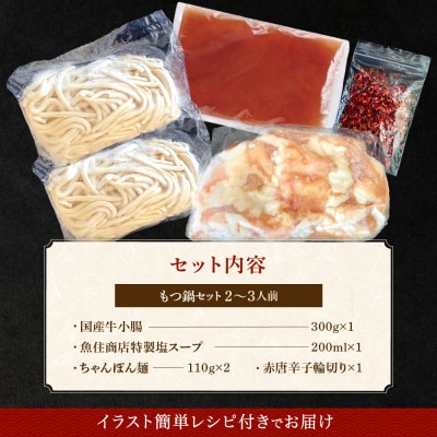 魚住商店【国産牛もつ使用】特製塩もつ鍋セット2～3人前・〆のチャンポン麺付き.AB588