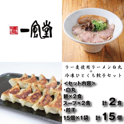 【一風堂】白丸ラー麦麺2食とひとくち餃子1袋セット【豚骨ラーメン】.ZG324