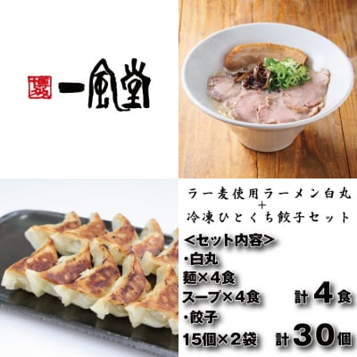【一風堂】白丸ラー麦麺4食とひとくち餃子2袋セット【豚骨ラーメン】.ZI445