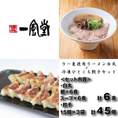 【一風堂】白丸ラー麦麺6食とひとくち餃子3袋セット【豚骨ラーメン】.AA445