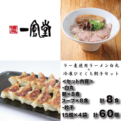【一風堂】白丸ラー麦麺8食とひとくち餃子4袋セット【豚骨ラーメン】.AD250