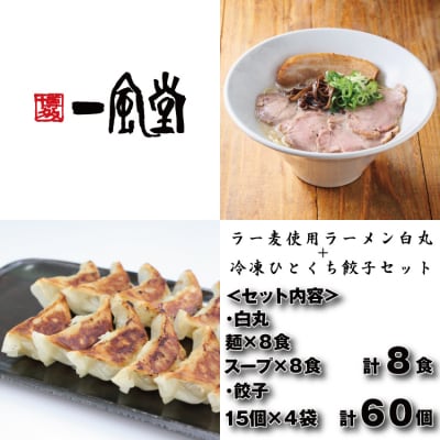 【一風堂】白丸ラー麦麺8食とひとくち餃子4袋セット【豚骨ラーメン】.AD306
