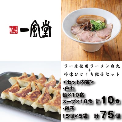 【一風堂】白丸ラー麦麺10食とひとくち餃子5袋セット【豚骨ラーメン】.AF203