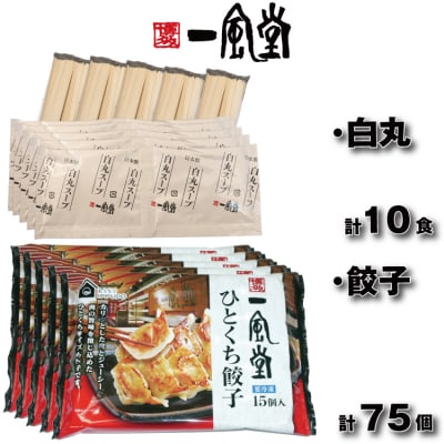 【一風堂】白丸ラー麦麺10食とひとくち餃子5袋セット【豚骨ラーメン】.AF203