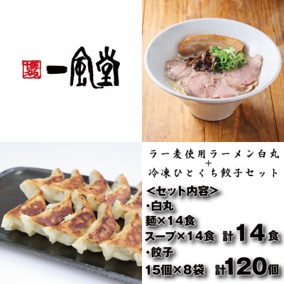 【一風堂】白丸ラー麦麺14食とひとくち餃子8袋セット【豚骨ラーメン】.BB092