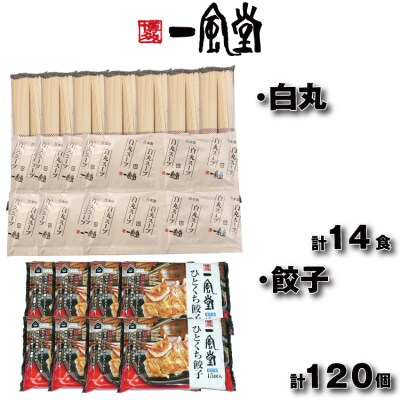 【一風堂】白丸ラー麦麺14食とひとくち餃子8袋セット【豚骨ラーメン】.BA074