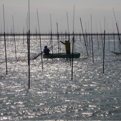 福岡有明のり【竹】訳あり焼き海苔(全形20枚入×2袋)【福岡有明のり】.ZH305
