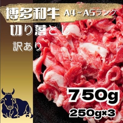 訳あり!博多和牛A4～A5ランク切り落とし750g(250g×3)【博多和牛】.AF173
