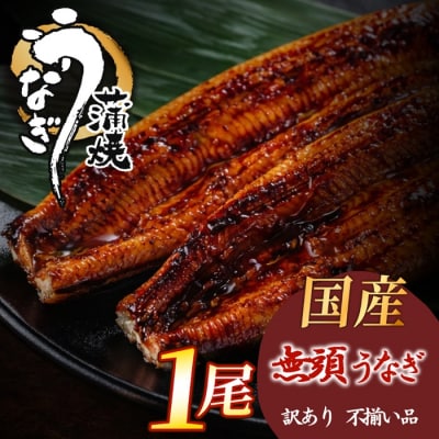 【不揃い訳あり】うなぎの蒲焼き1尾セット.A1720