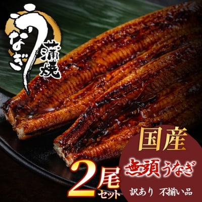 【不揃い訳あり】うなぎの蒲焼き2尾セット.AD259