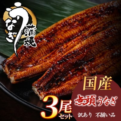 【不揃い訳あり】うなぎの蒲焼き3尾セット.AH132