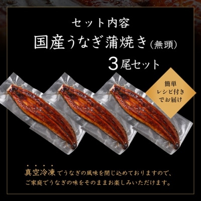 【不揃い訳あり】うなぎの蒲焼き3尾セット.AH132