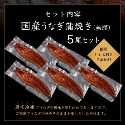 【不揃い訳あり】うなぎの蒲焼き5尾セット.BD049