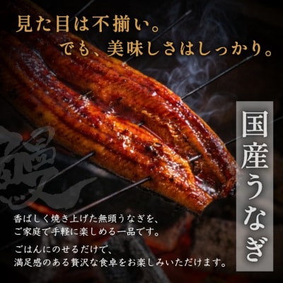 【不揃い訳あり】うなぎの蒲焼き6尾セット.BH017