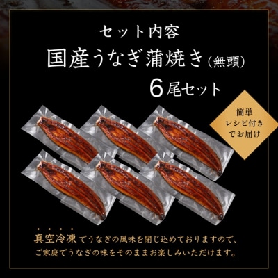 【不揃い訳あり】うなぎの蒲焼き6尾セット.BH017