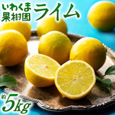 貴重な国産ライム.約5kg/2026年10月～12月発送予定.AB614