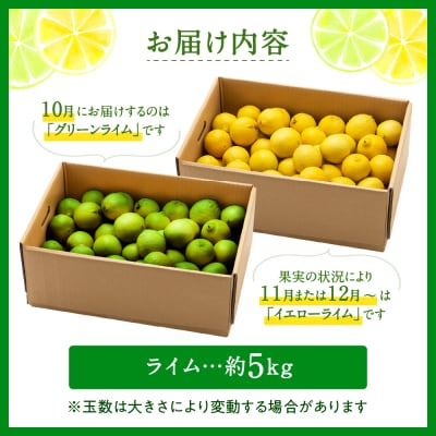 貴重な国産ライム.約5kg/2026年10月～12月発送予定.AB614