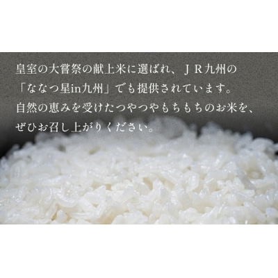 大分県産 玖珠米 ひとめぼれ 4kg 白米 精米