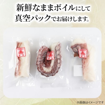 白神タコ ボイル 約1kg(2～3パック)秋田県八峰町沖産|16_oka-020201