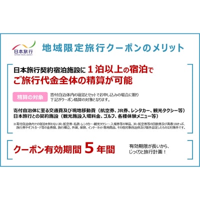 北海道釧路市 日本旅行 地域限定旅行クーポン 90,000円分 チケット 旅行 F4F-2477