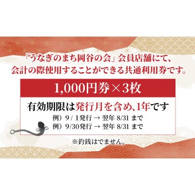うなぎのまち岡谷の会　共通利用券　3000円分