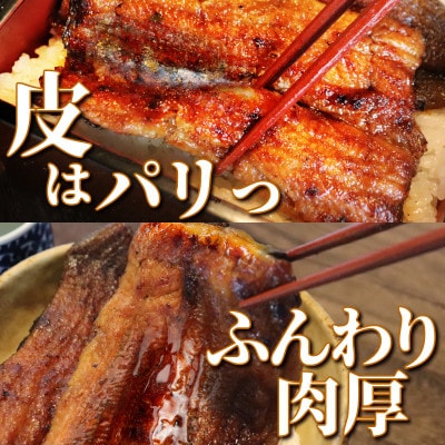 【毎月定期便】うなぎの蒲焼(真空パック) 1人前 約200g全3回
