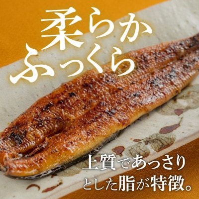 シルクうなぎ蒲焼パック 中(105g以上)×3パック