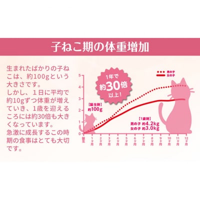 銀のスプーン三ツ星グルメ香るお魚仕立て健康に育つ子ねこ用お魚レシピ[54030330]