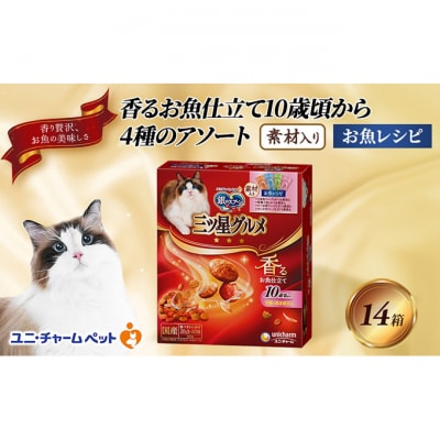 銀のスプーン三ツ星グルメ 香るお魚仕立て10歳から4種のアソート素材入り 猫[54030331]