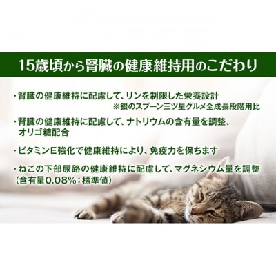 銀のスプーン三ツ星グルメ 香るお魚仕立て15歳頃から お魚レシピ 　猫[54030332]