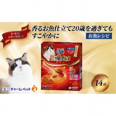 銀のスプーン三ツ星グルメ香るお魚仕立て20歳を過ぎてもすこやかに お魚レシピ 猫[54030334]