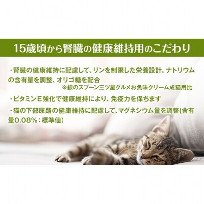 銀のスプーン三ツ星グルメ お魚クリーム 15歳頃から まぐろ・かつお味　猫のご飯[54030346]