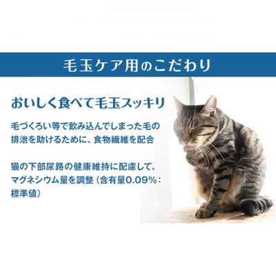 銀のスプーン三ツ星グルメ お魚クリーム 毛玉ケア まぐろ・かつお味 猫のご飯[54030499]