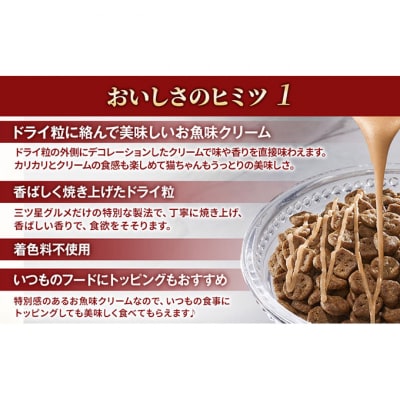 銀のスプーン三ツ星グルメ お魚クリーム 毛玉ケア まぐろ・かつお味 猫のご飯[54030499]