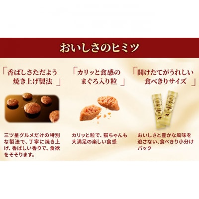 銀のスプーン三ツ星グルメ 香るお魚仕立て お魚レシピ 240g×7箱　猫のご飯[54030500]