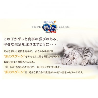 銀のスプーン三ツ星グルメ 香るお魚仕立て お魚レシピ 240g×7箱　猫のご飯[54030500]