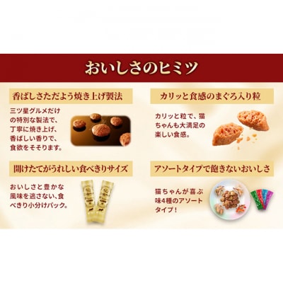 銀のスプーン三ツ星グルメ 香るお魚仕立て4種のアソート お魚レシピ　猫のご飯[54030501]