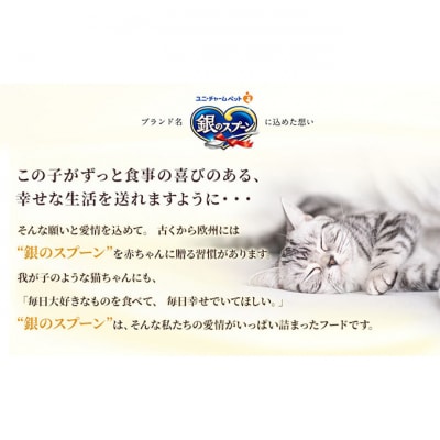 銀のスプーン三ツ星グルメ 香るお魚仕立て4種のアソート お魚レシピ　猫のご飯[54030501]