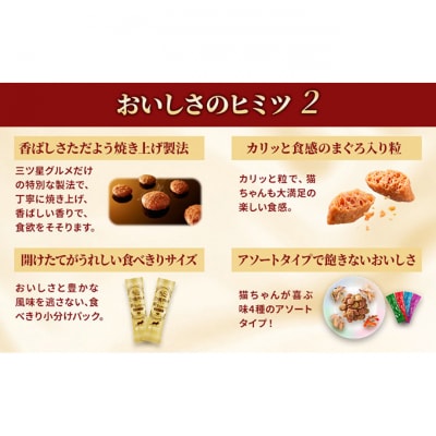 銀のスプーン三ツ星グルメ香るお魚仕立て4種のアソート素材入り お魚レシピ猫のご飯[54030502]