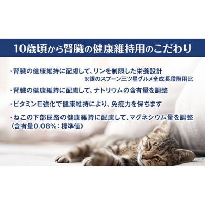 銀のスプーン三ツ星グルメ香るお魚仕立て10歳から4種のアソート素材入お魚レシピ猫[54030506]