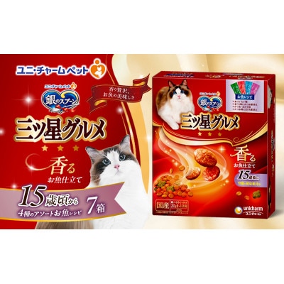 銀のスプーン三ツ星グルメ香るお魚仕立15歳頃から4種のアソートお魚レシピ猫のご飯[54030508]