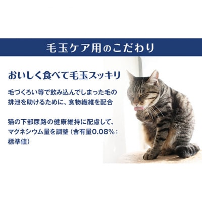 銀のスプーン三ツ星グルメ 香るお魚仕立毛玉ケア4種のアソート お魚レシピ猫のご飯[54030511]