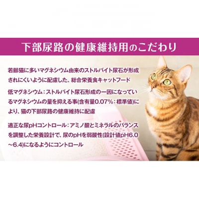 銀のスプーン三ツ星グルメ 香るお魚仕立て下部尿路の健康維持用1歳～10歳頃まで猫[54030512]
