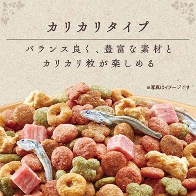 グラン・デリ カリカリ仕立て 成犬用 味わいビーフ入りセレクト 1.6kg×4袋[54030447]