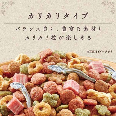 グラン・デリ カリカリ仕立て 成犬用 低脂肪 彩り野菜入りセレクト[54030451]